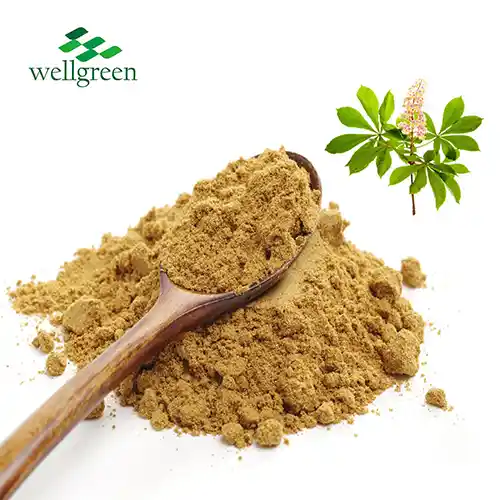 Horse Chestnut Extract Powder